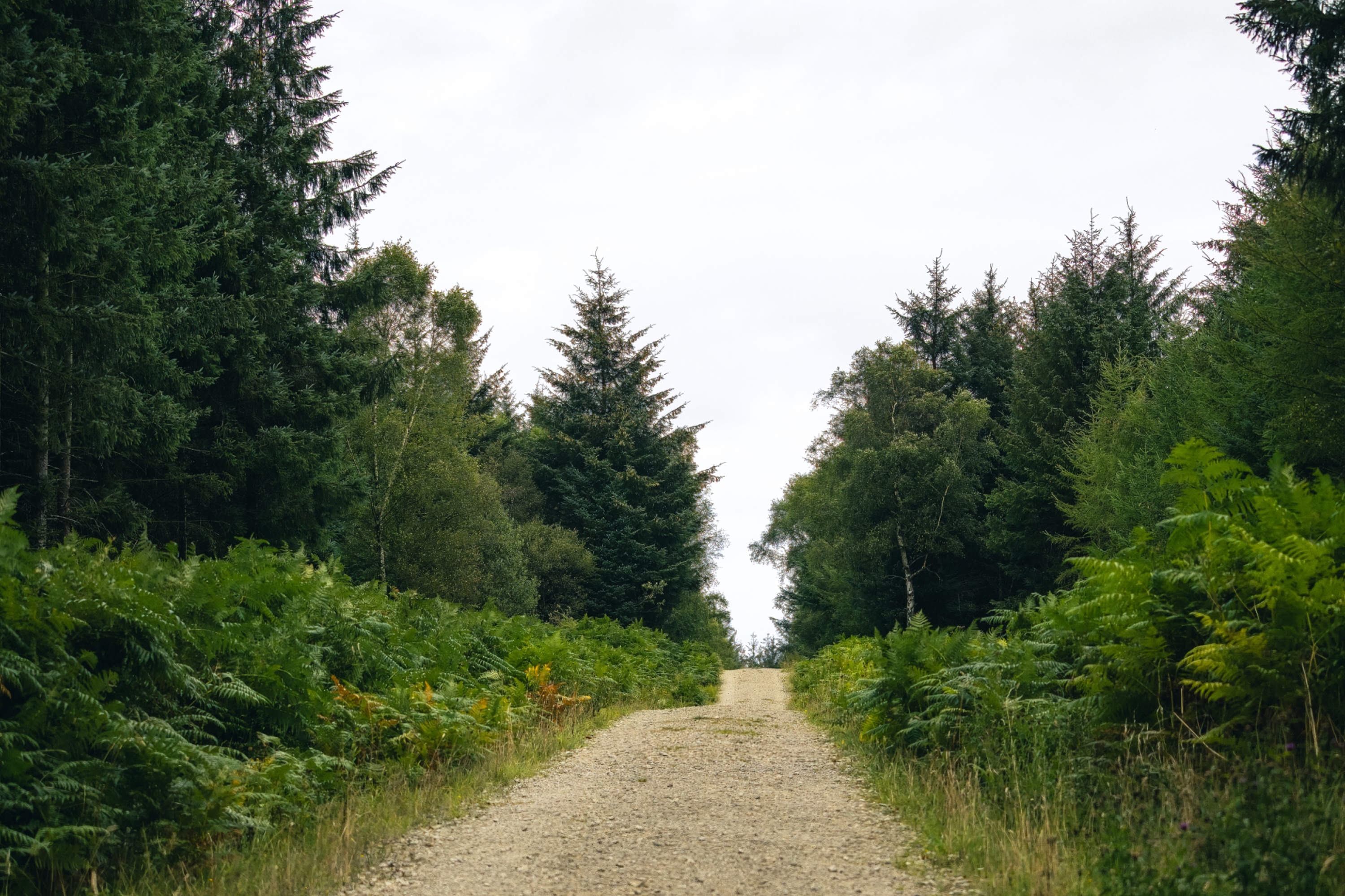 Britain - North Yorkshire